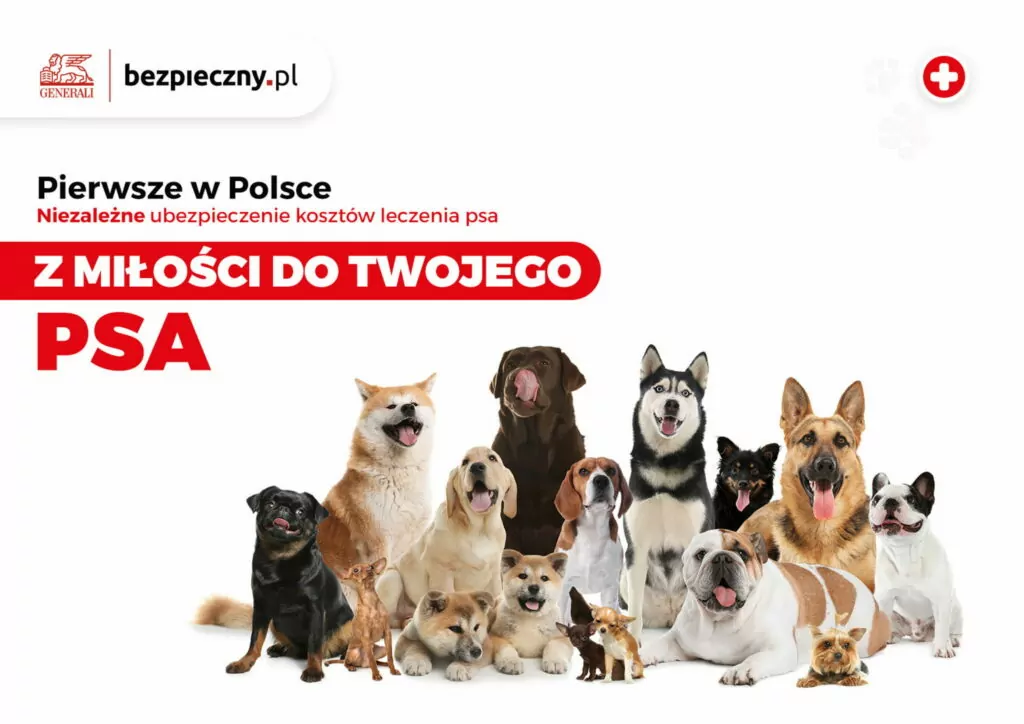 ubezpieczenie psa