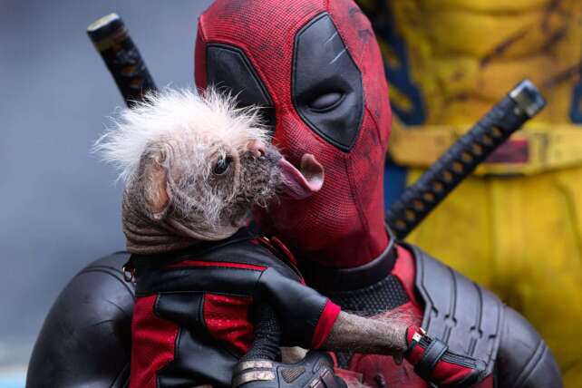 dogpool deadpool wolverine