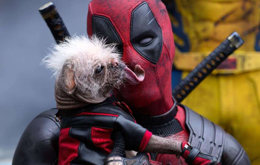 dogpool deadpool wolverine