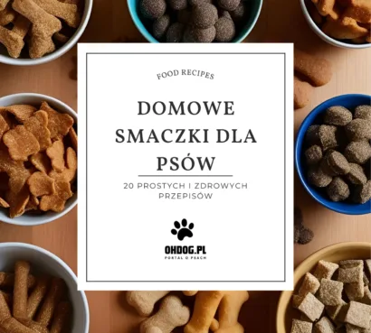 Domowe Smaczki dla Psów 20 Prostych i Zdrowych Przepisów