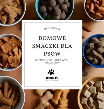 Domowe Smaczki dla Psów 20 Prostych i Zdrowych Przepisów
