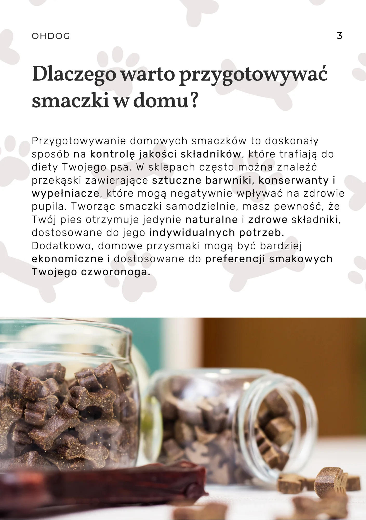 Domowe Smaczki dla Psów  20 Prostych i Zdrowych Przepisów - obrazek 3