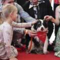 Panda Zdobywa Nagrodę Palm Dog 2025 na Festiwalu w Cannes 2