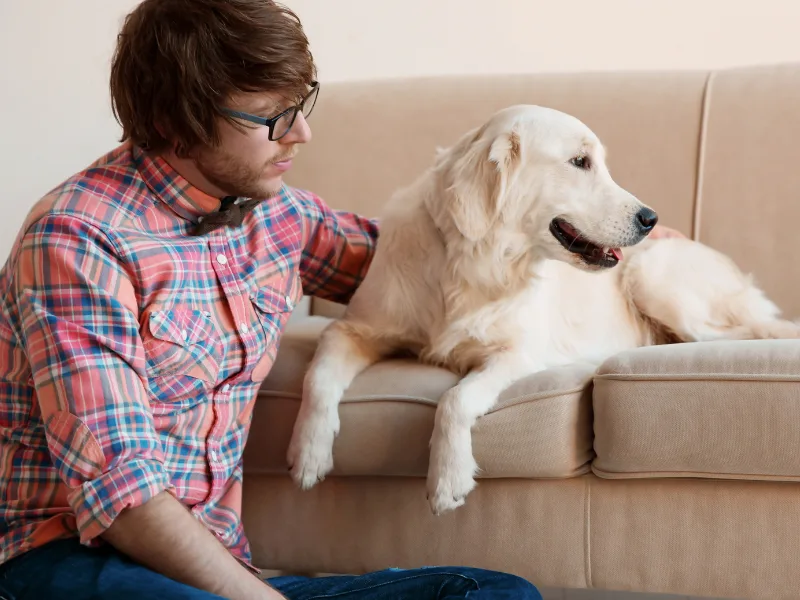 Czego chce Twój pies?