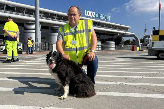 pies falco lotnisko łódź