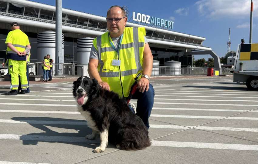 pies falco lotnisko łódź
