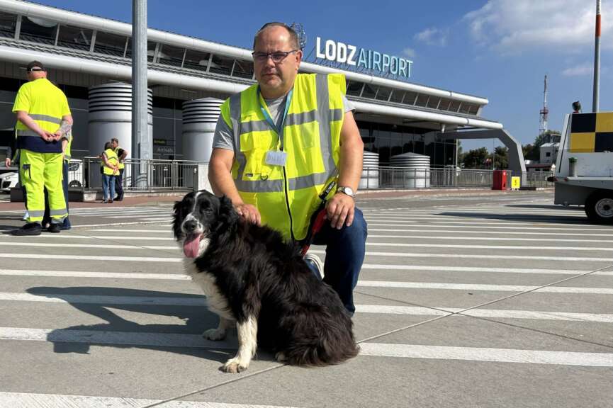 pies falco lotnisko łódź