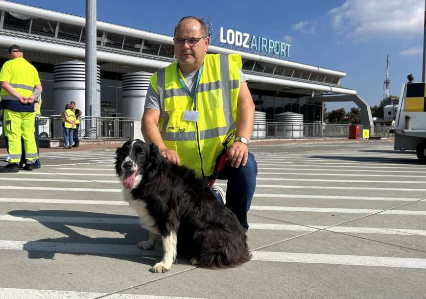 pies falco lotnisko łódź