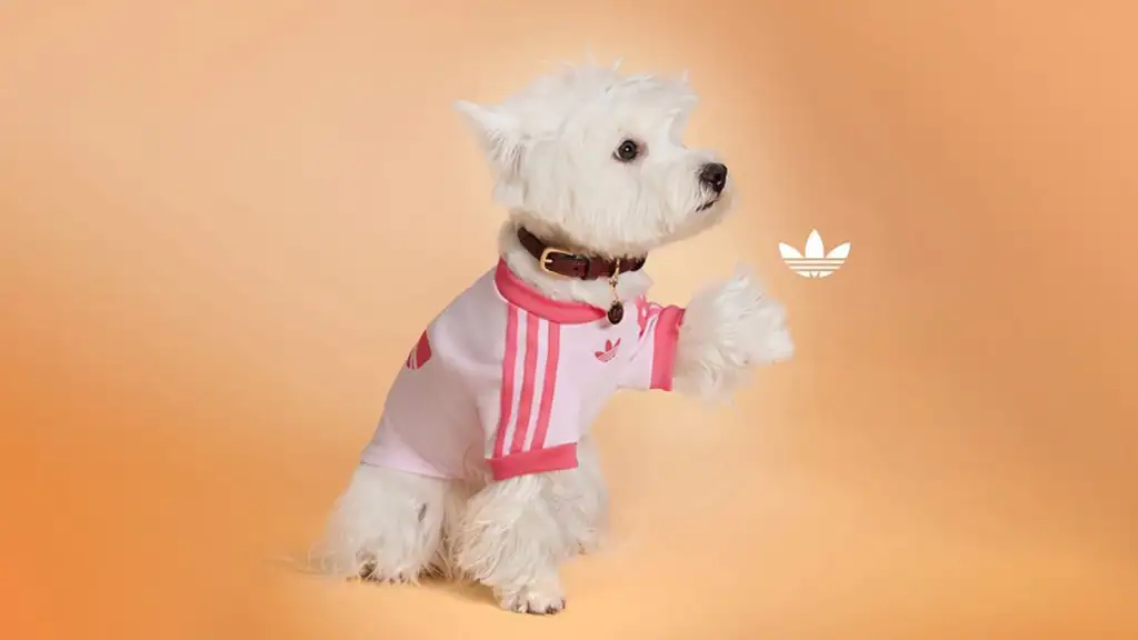adidas pets ubranka dla zwierząt