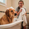 Kąpiel psa miała pomóc, a pogorszyła sprawę? Sprawdź dlaczego
